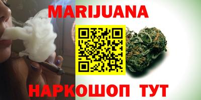 гашик Новозыбков