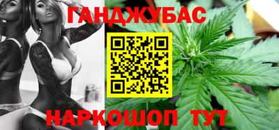 гашик Новозыбков