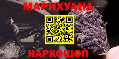 гашик Новозыбков