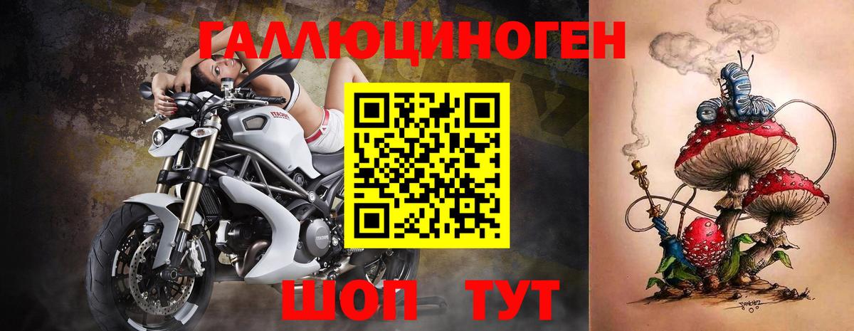 Галлюциногенные грибы Psilocybe Сургут